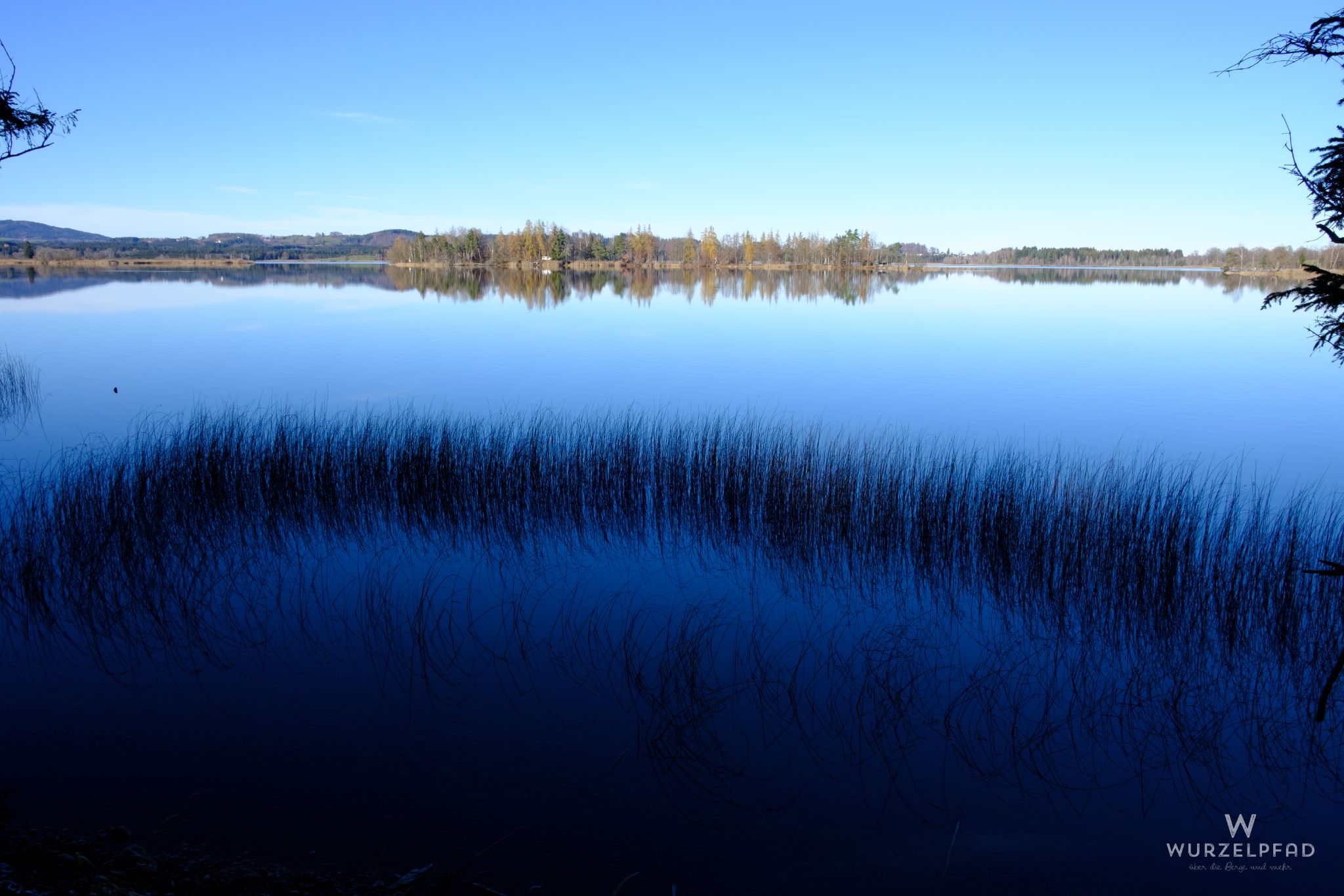 Blick zur Großen Birke